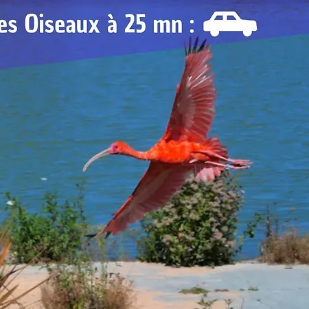 Apartment L'emeraude - 1 A 4p - Wifi Fibre - Parking Gratuit